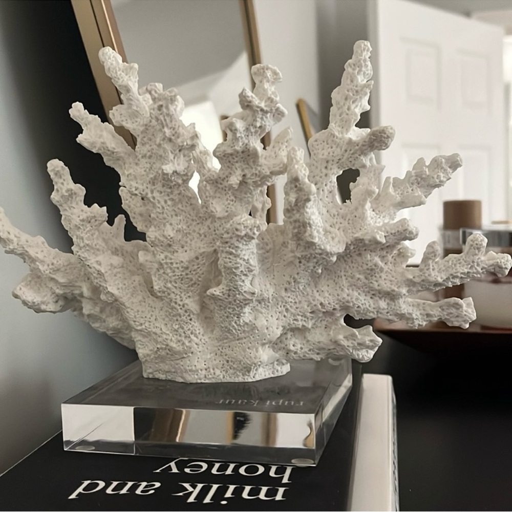 Decorative White Coral Sculpture - Picture 3 of 4